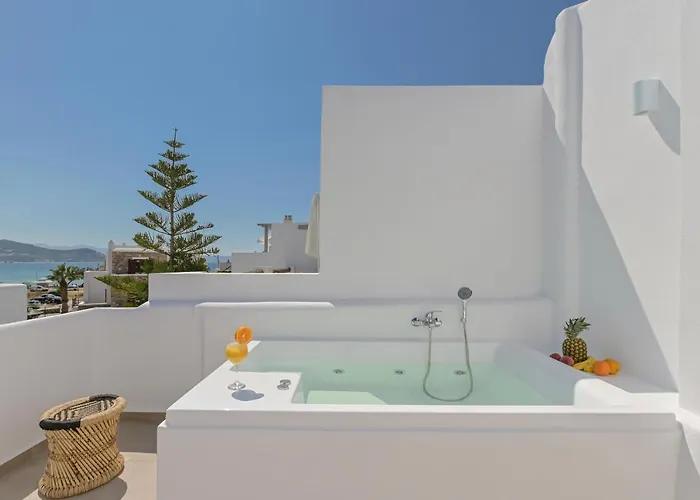 Ξενοδοχείο Naxos Blue Sky Naxos City